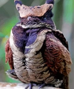 Nightjar Diamond Painting