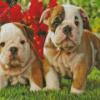 Old English Bulldog Puppies Diamond Painting