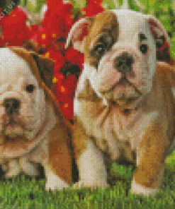 Old English Bulldog Puppies Diamond Painting