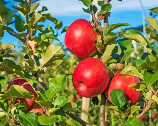 Pink Lady Apples Tree Diamond Painting