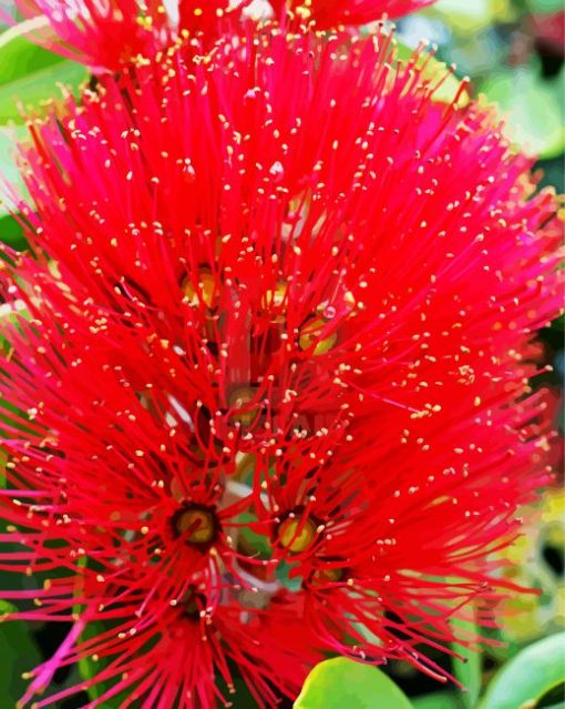 Pohutukawa Flower Diamond Painting