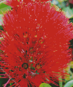 Pohutukawa Flower Diamond Painting