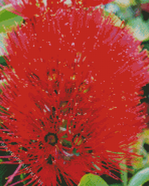 Pohutukawa Flower Diamond Painting