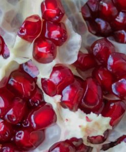 Pomegranate Diamond Painting