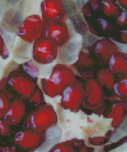 Pomegranate Diamond Painting