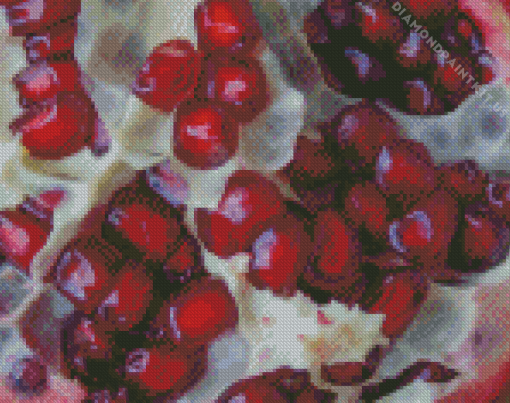 Pomegranate Diamond Painting