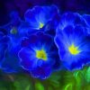 Primrose Blue Flowers Diamond Painting