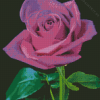 Purple Rose Diamond Painting