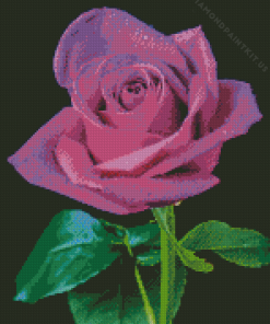 Purple Rose Diamond Painting