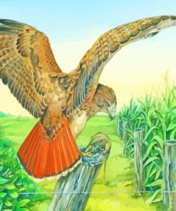 Red Tailed Hawk Bird Flying Diamond Painting