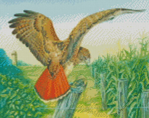 Red Tailed Hawk Bird Flying Diamond Painting