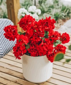 Red Flowers in White Pot Diamond Painting