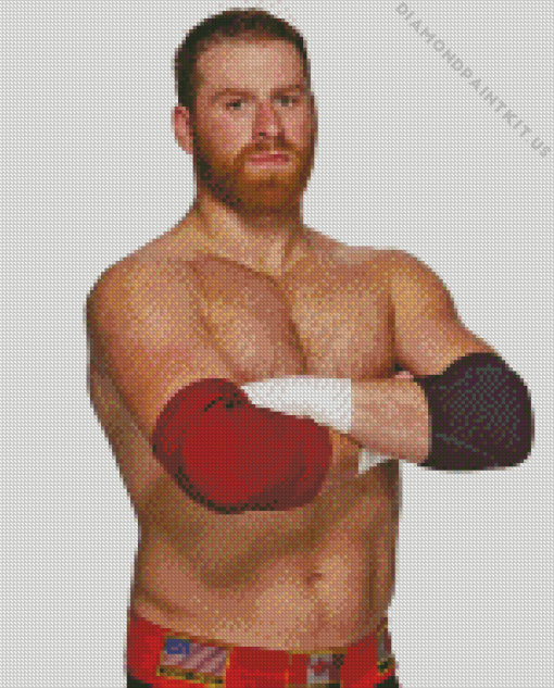 Sami Zayn Canadian Wrestler Diamond Painting