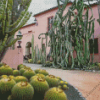 Santa Barbara Botanic Garden Diamond Painting