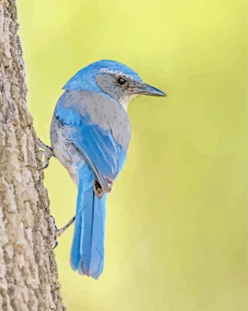 Scrub Jays On Tree Diamond Painting