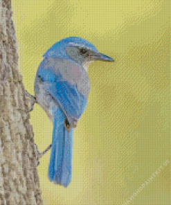 Scrub Jays On Tree Diamond Painting