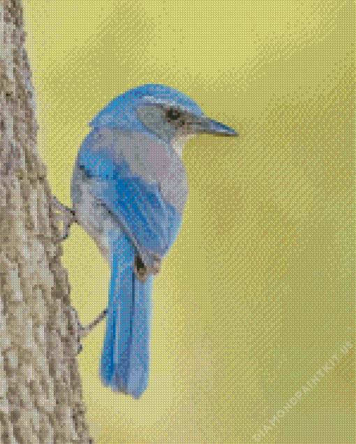 Scrub Jays On Tree Diamond Painting