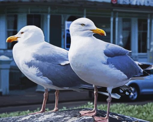 Seagulls Birds Diamond Painting