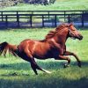 Secretariat Brown Horse Diamond Painting