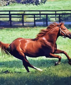 Secretariat Brown Horse Diamond Painting