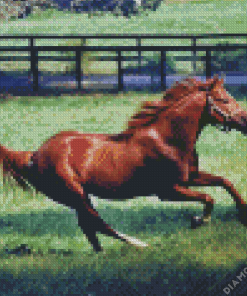 Secretariat Brown Horse Diamond Painting