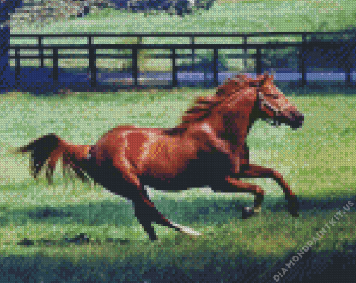 Secretariat Brown Horse Diamond Painting