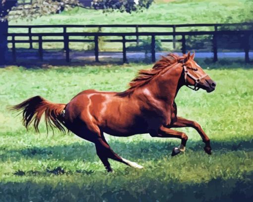 Secretariat Brown Horse Diamond Painting