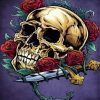 Skull and Roses Art Diamond Painting