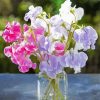 Sweetpea In Glass Jar Diamond Painting