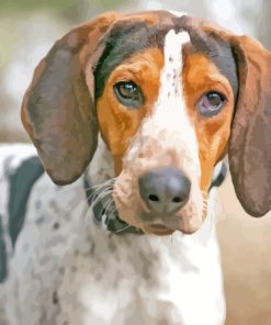 Treeing Walker Coonhound Dog Diamond Painting