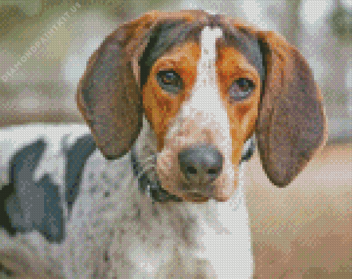 Treeing Walker Coonhound Dog Diamond Painting