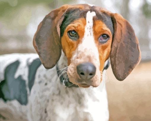 Treeing Walker Coonhound Dog Diamond Painting