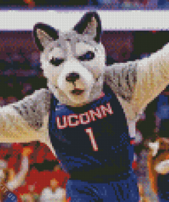 UConn Huskies Maskot Team Diamond Painting