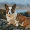 Welsh Sheepdog Dog Diamond Painting