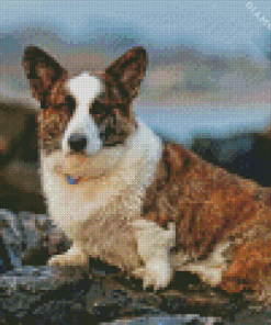 Welsh Sheepdog Dog Diamond Painting