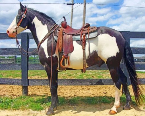 Western Black and White Horse Diamond Painting