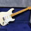 White Fender Stratocaster Guitar Diamond Painting