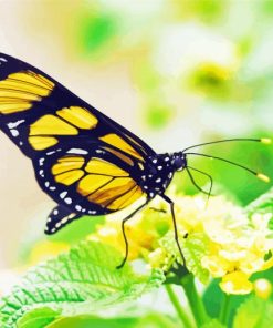 Yellow Monarch Butterfly On Flower Diamond Painting