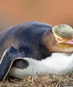 Yellow Eyed Penguin Bird Diamond Painting