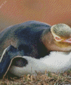 Yellow Eyed Penguin Bird Diamond Painting