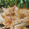 Adorable Kittens Sleeping Diamond Painting