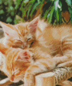 Adorable Kittens Sleeping Diamond Painting