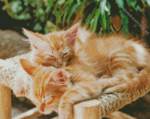 Adorable Kittens Sleeping Diamond Painting