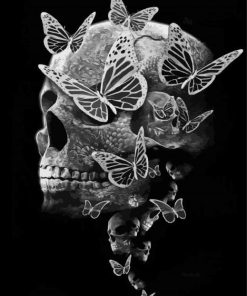 Black and White Skulls and Butterflies Diamond Painting