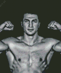 Black and White Wladimir Klitschko Diamond Painting