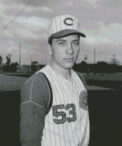 Black And White Johnny Bench Diamond Painting