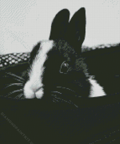 Black And White Rabbit Diamond Painting