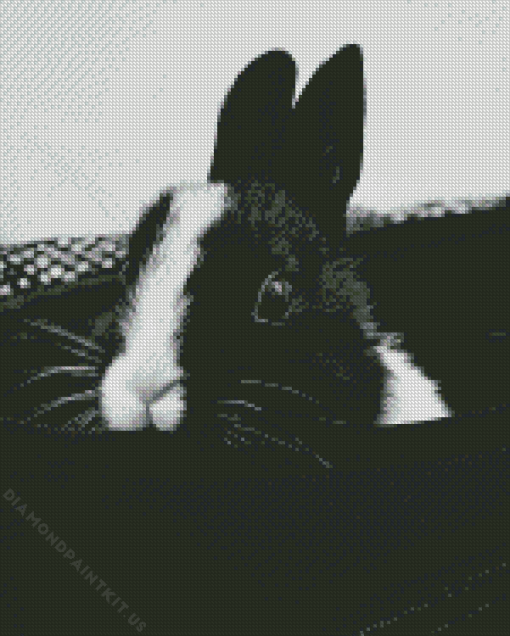 Black And White Rabbit Diamond Painting