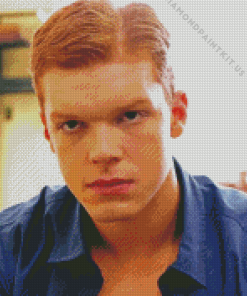 Cameron Monaghan Diamond Painting