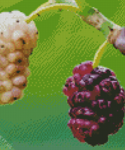 Close Up Mulberry Diamond Painting